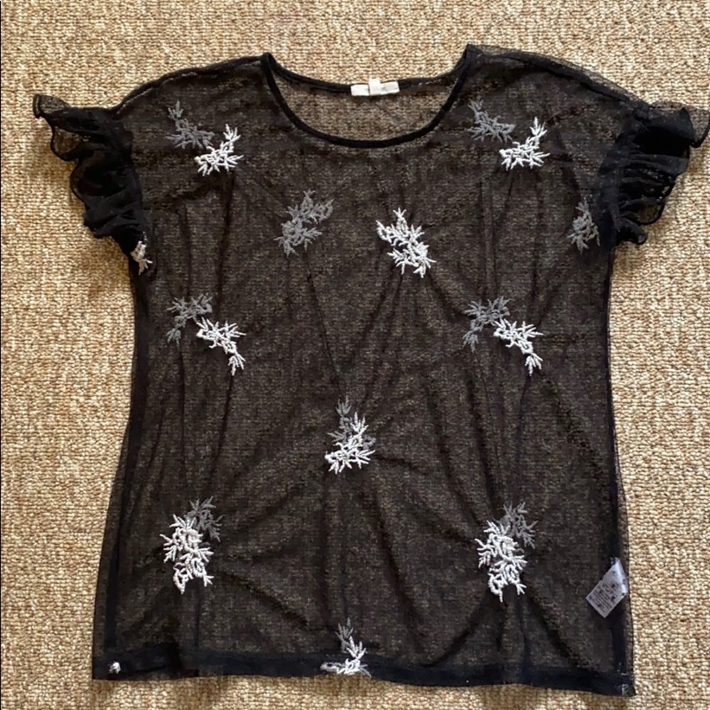 Sheer Top